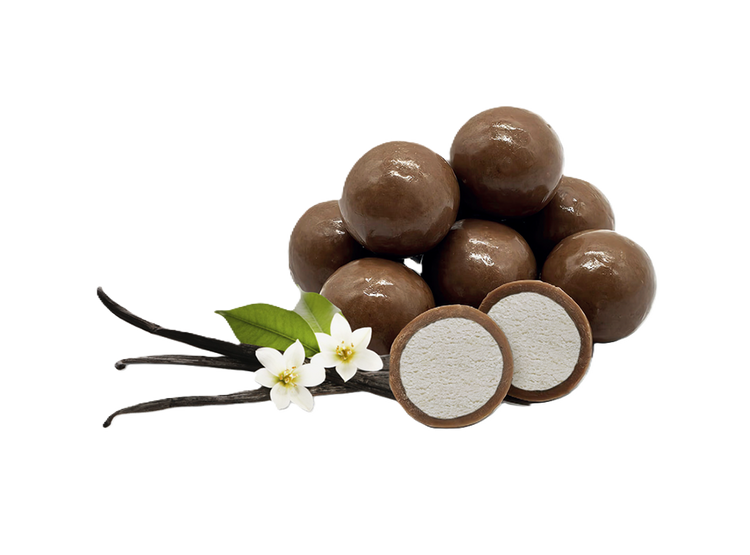 Protein Bons