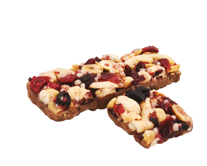 Protein Nuts Bar BERRIES 40g